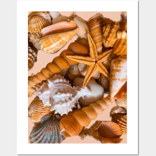 Summer Beach Seashells Travel Posters and Art